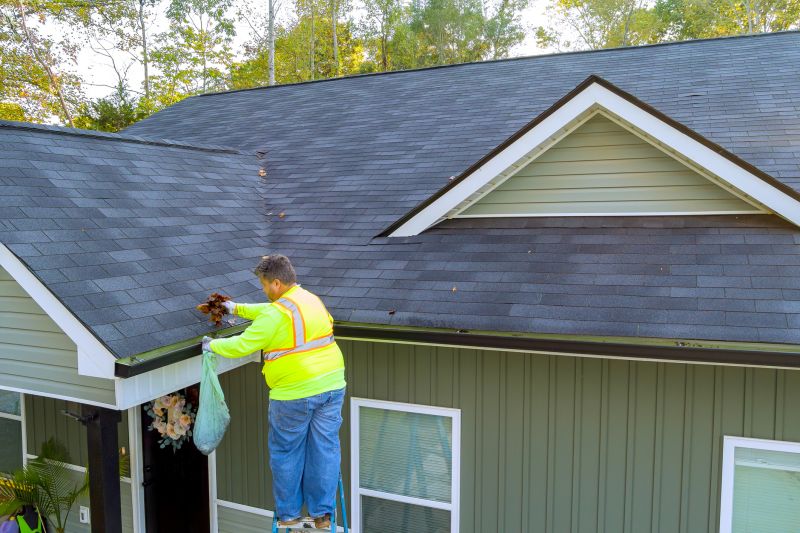 Home Gutter Maintenance
